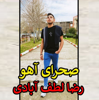 رضا لطف آبادی صحرای آهو